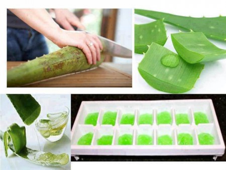 ALOE VERA