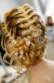 /album/fotogaleria/a58779-442975759073306-1206767060-n-jpg/